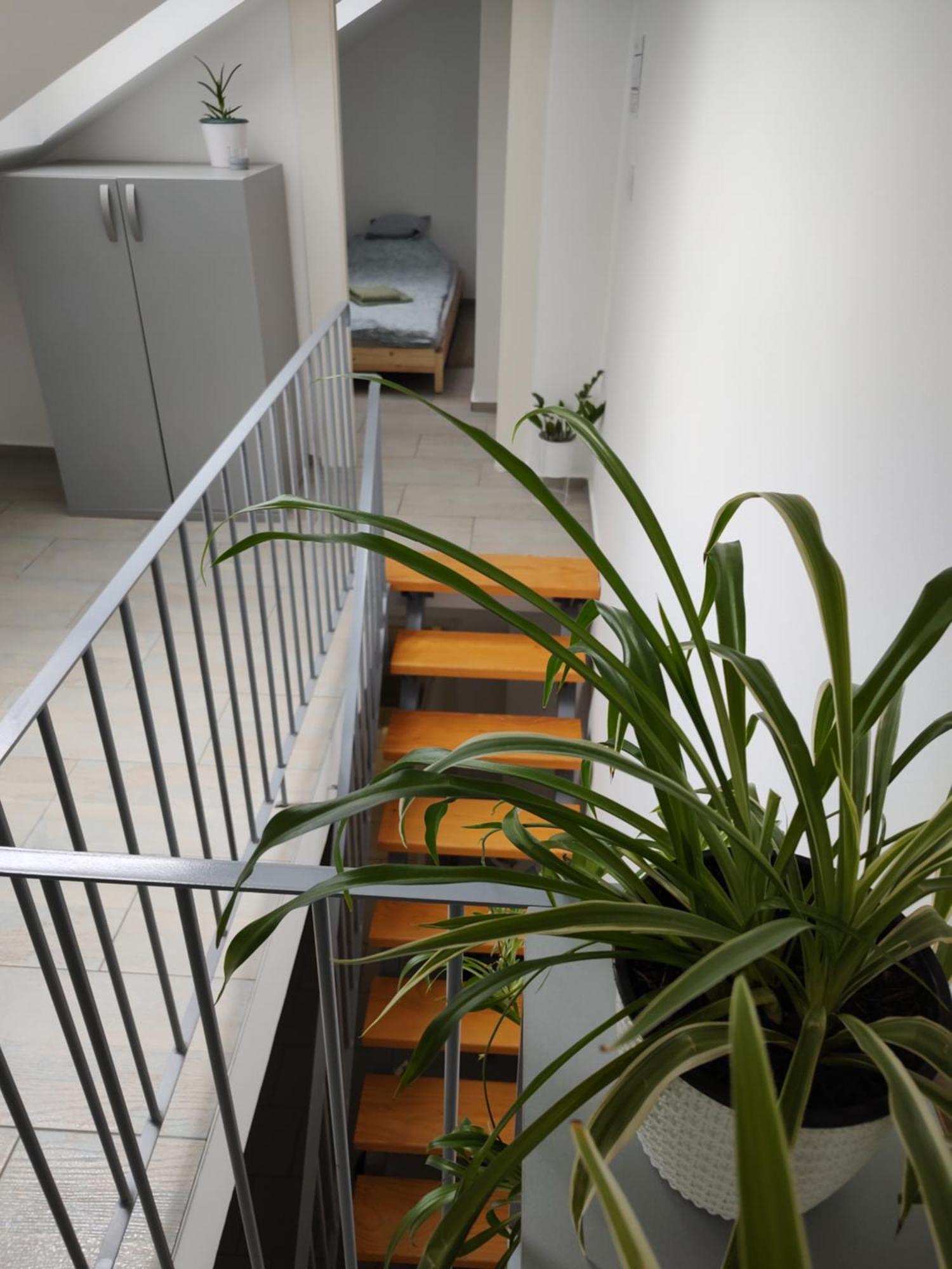 Twowheels - With Bicycles Apartment